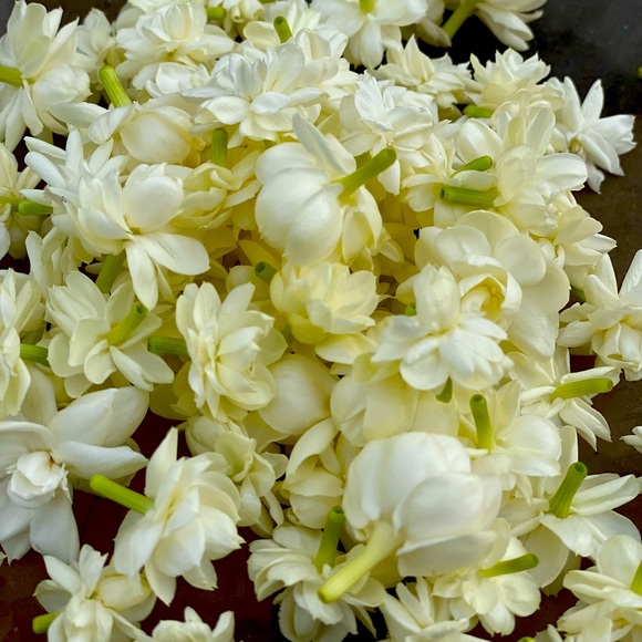 Meet your Posher, Shilpa - Picture 1 of 1